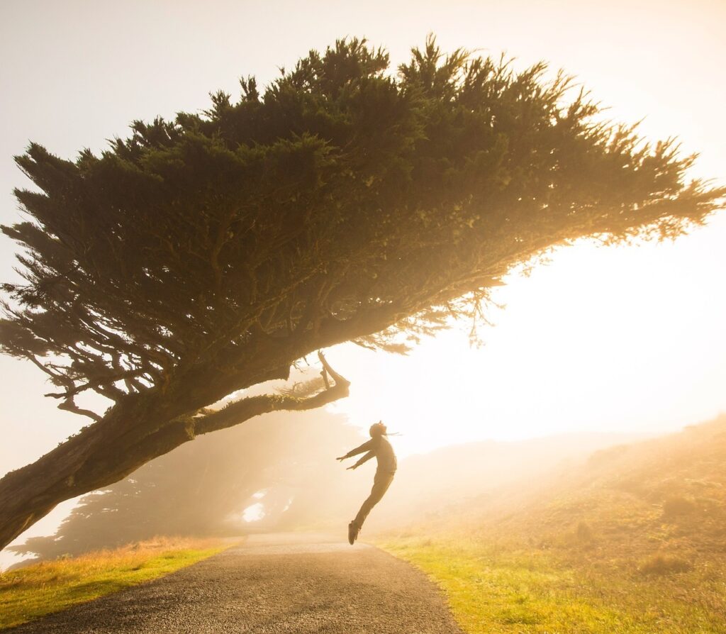 Giordana Ruzzolini, Inner Ground - ALbero con persona felice al tramonto